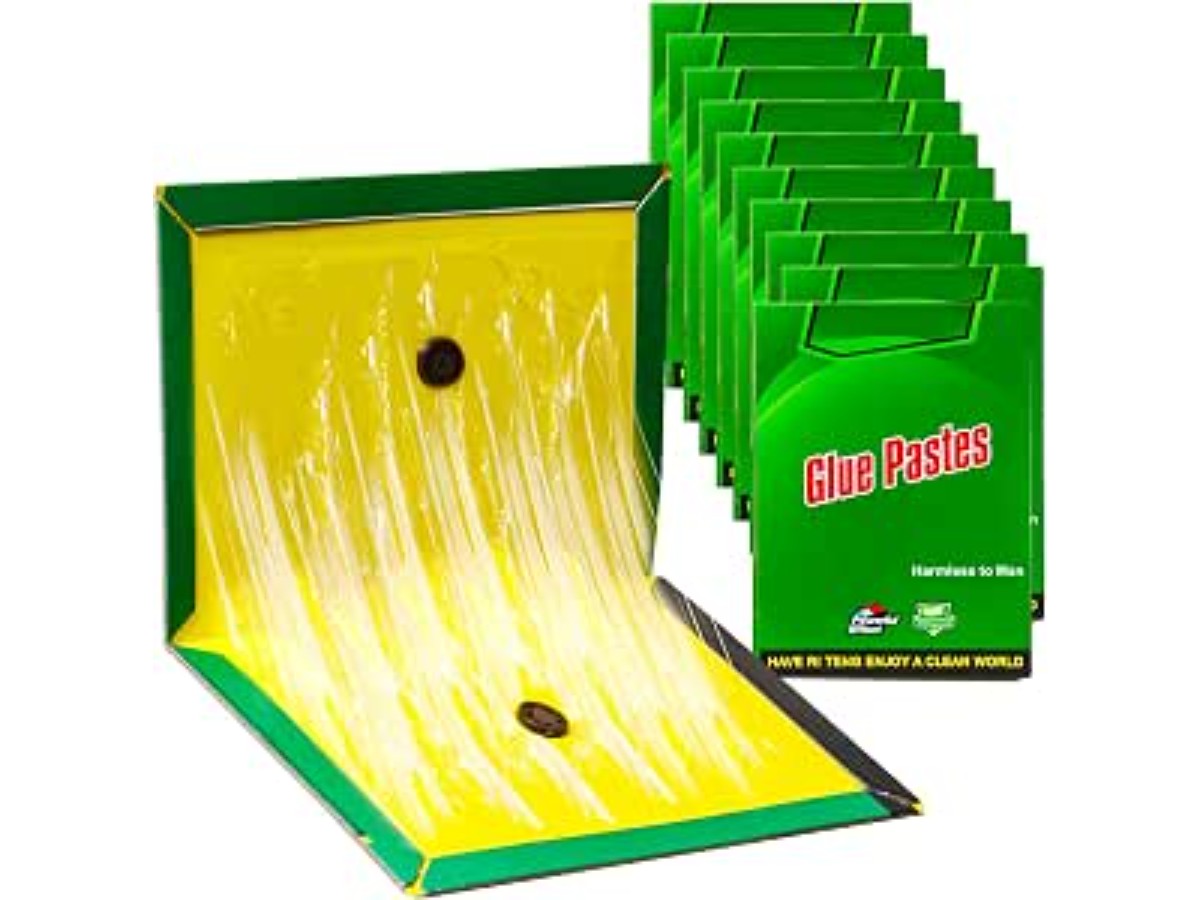 10 Mouse Trap Klebefallen 31.5 cm x 21 cm Schabenfalle Bettwanzen